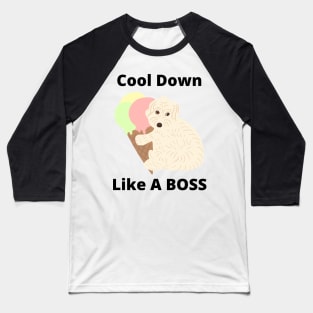 Cool Down Like A Boss Baseball T-Shirt